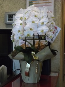 DSCF0219
